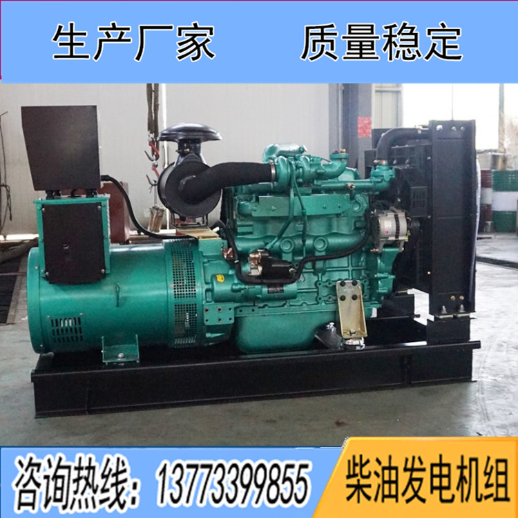 廣西玉柴40KW柴油發(fā)電機(jī)組YCD4J22D